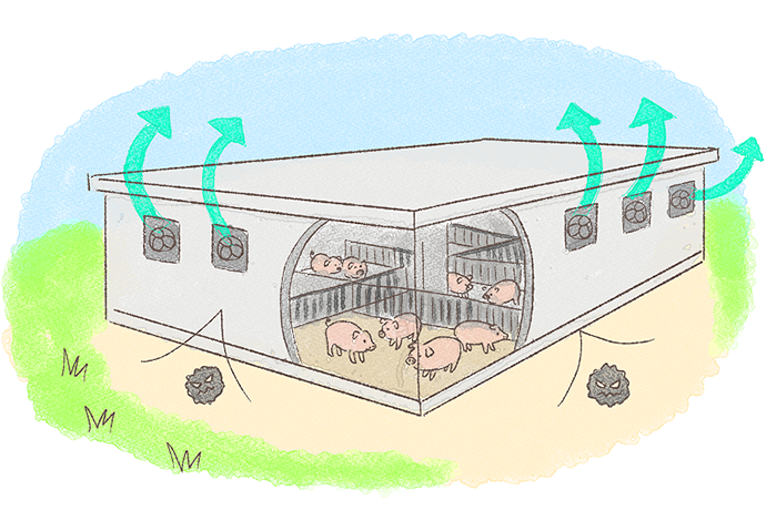 ウィンドウレス